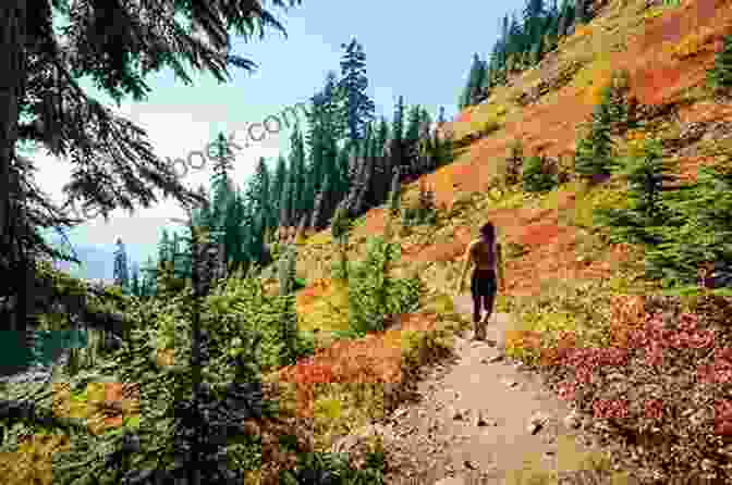 A Hiker On The Yellow Aster Butte Trail The 10 Best Hikes Around Washington State S Mount Baker (The Greatest Hikes On Earth 24)