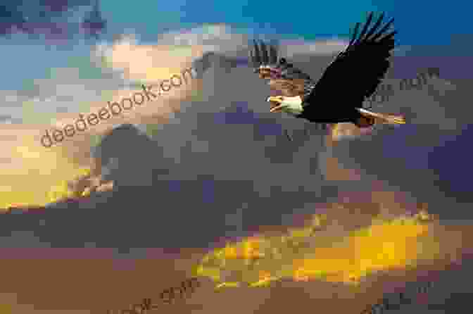 A Majestic Eagle Soaring Through The Sky, Symbolizing The Unyielding Spirit Of The Protagonist In 'Tale Of Patriot: Part Two' Tale Of A Patriot Part Two