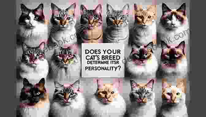 A Montage Of Various Cat Breeds, Each Showcasing Their Unique Characteristics And Captivating Charm. Passion For Cats