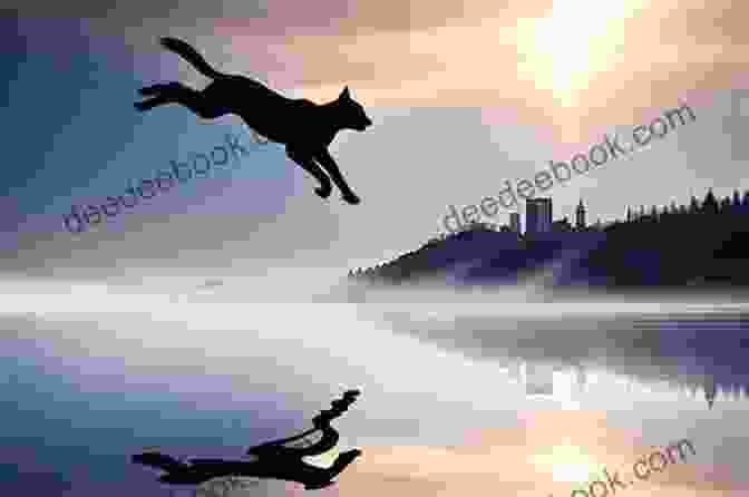 A Playful Cat Leaping Through The Air, Its Body Extended In A Graceful Arc, Exuding Agility And Exuberance. Passion For Cats