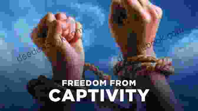 Anya's Journey Of Transformation From Captivity To Freedom Sweet Captivity (Captive Series) Julia Sykes