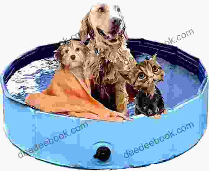 Bathing A Dog In A Tub KOI FISH CARE FOR BEGINNERS: A Complete Guide To Caring Feeding And Grooming Your Wonderful Pet
