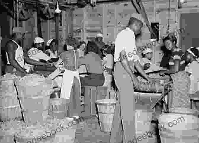 Factory Shutdown, Economic Hardship For Black Workers Race Rebels: Culture Politics And The Black Working Class
