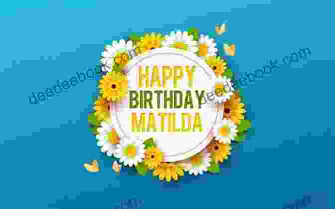 Happy And Matilda Animated On A Beautiful Day In A Field With Vibrant Flowers And A Blue Sky Happy And Matilda: Happy Day