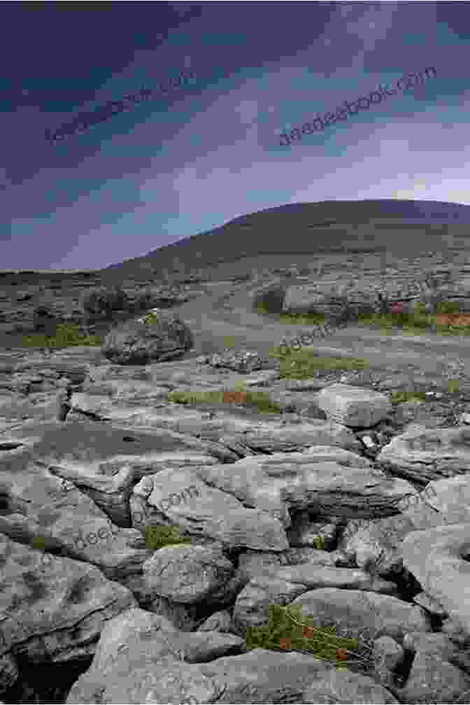 Limestone Landscape Of The Burren Happy In Ireland