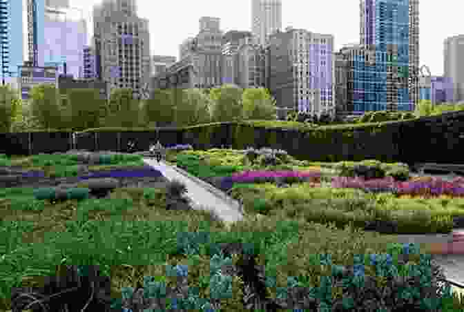 Lurie Garden Chicago Travel Guide With 100 Landscape Photos