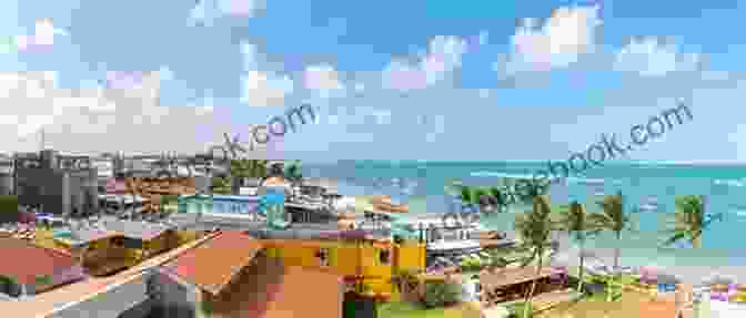 Panoramic View Of Porto De Galinhas Beach With Turquoise Waters, Palm Trees, And Colorful Umbrellas PORTO DE GALINHAS PERNAMBUCO BRASIL A Quick Guide