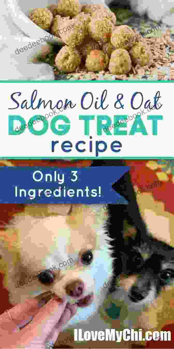 Salmon And Oatmeal Bites For Dogs Dog Treat Cookbook: 27 Pooch Approved Homemade Recipes