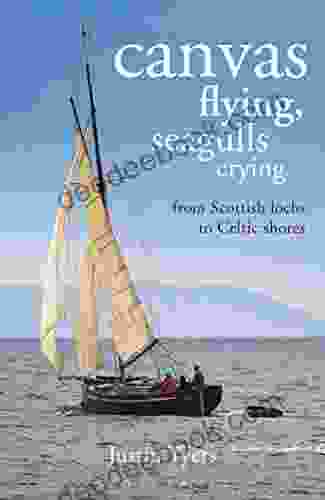 Canvas Flying Seagulls Crying: From Scottish Lochs To Celtic Shores