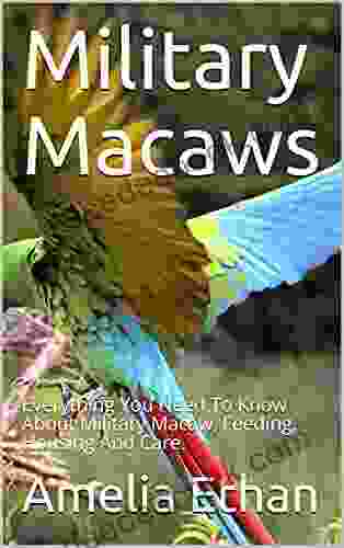 Military Macaws: Everything You Need To Know About Military Macaw Feeding Housing And Care