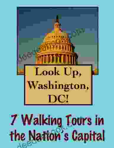 Look Up Washington DC 7 Walking Tours In Our Nation S Capital (Look Up America Series)