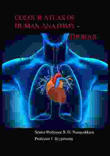 Colour Atlas Of Human Anatomy Thorax