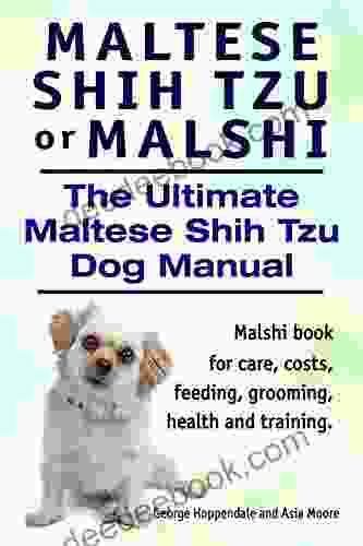 Maltese Shih Tzu Or Malshi Maltese Shih Tzu For Care Costs Feeding Grooming Health And Training Malshi Dog Manual